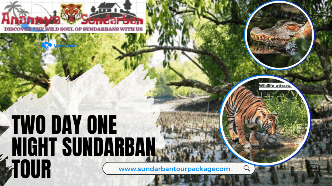 Best 2-Day 1-Night Sundarban Tour Package from Kolkata | ₹3,999